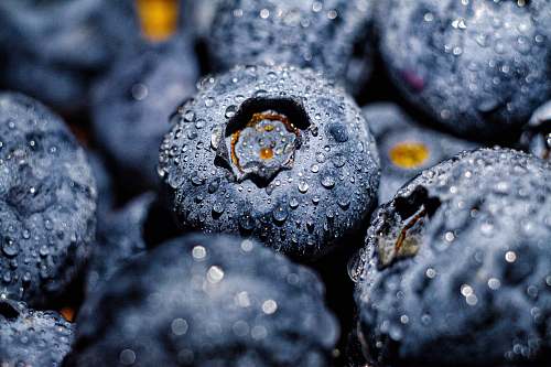 food blueberry fruit blueberry