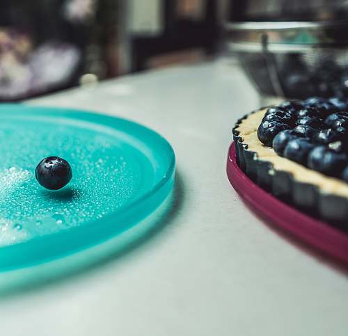food blueberry on microwave plate blueberry