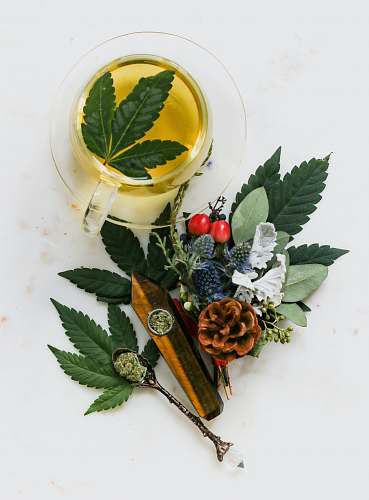 jar marijuana herbal tea pottery