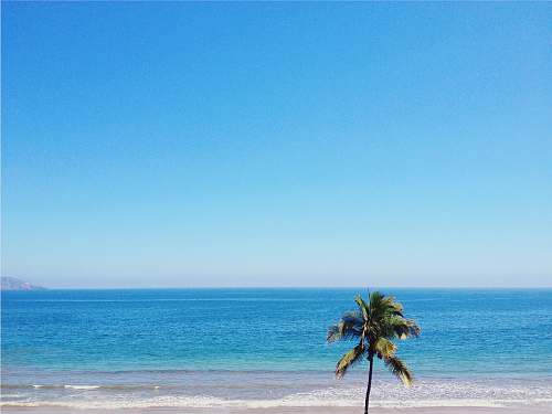 beach  coast