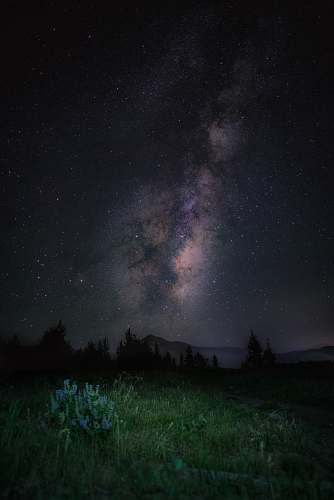night  grey