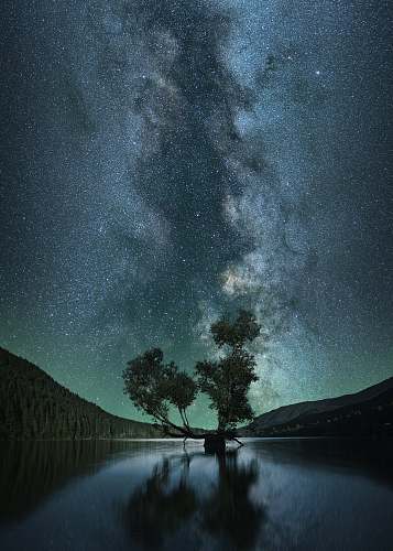 sky green leafed tree on body of water under starry sky wallpaper