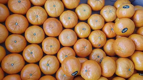 fruit orange fruits on white ceramic plate citrus fruit