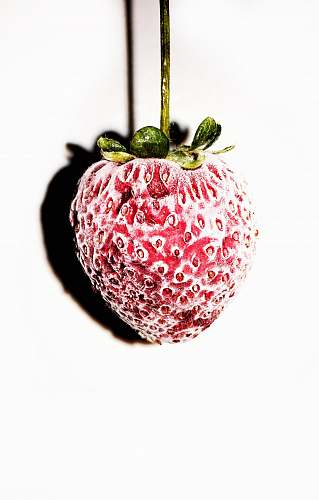 fruit red strawberry fruit on white background plant