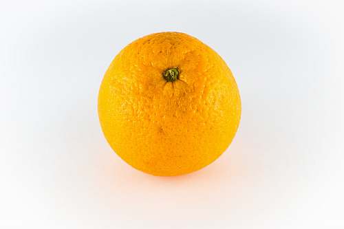 food orange fruit on white surface citrus fruit