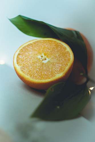 food orange fruit on white table citrus fruit