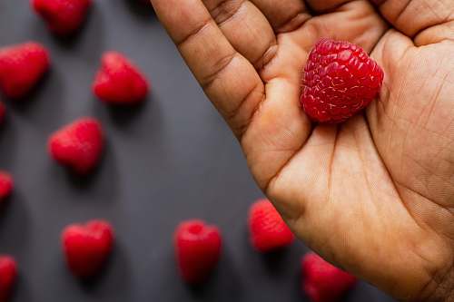 food red round fruits on persons hand plant