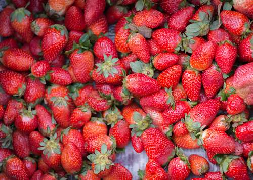 food red strawberries on white ceramic plate plant