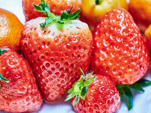 strawberry red strawberries on white ceramic plate plant