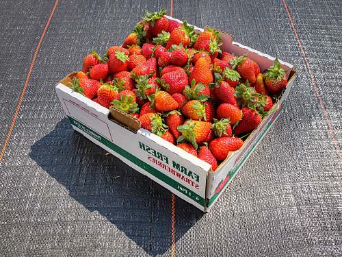 strawberry strawberries in white and green box food
