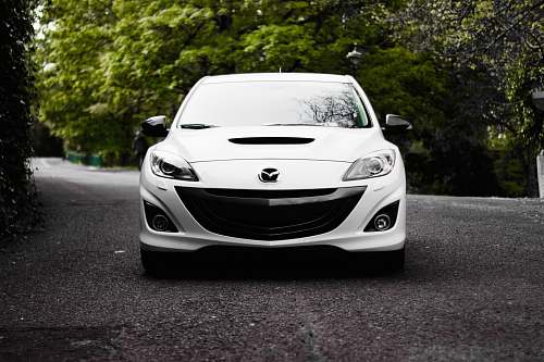 automobile white Mazda vehicle on road near tree vehicle