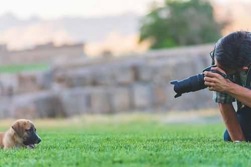 person man taking photo of brown puppy using DSLR camera dog