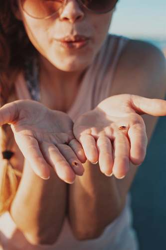 person woman with brown bug on hands blowing people