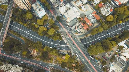 nature flat lay photography of vehicles on highway outdoors