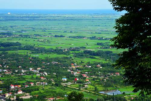 landscape green grass field outdoors