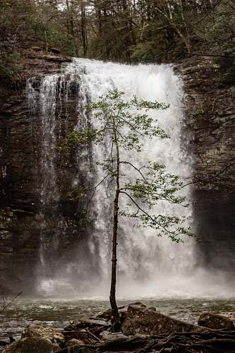 outdoors waterfalls surrounded by trees at daytime water