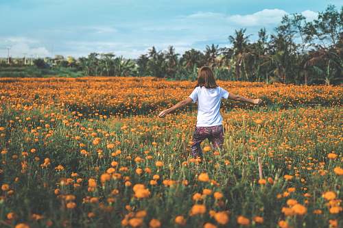 person woman standing on orange flower garden human