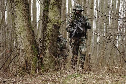 human man holding rifle near the tre military