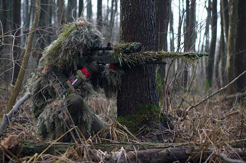 tree person holding green rifle shooting sniper