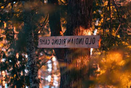 forest Old Indian Ricing Camp signage on gray tree trunk camp