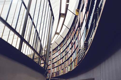 book architectural interior photo of library with books and shelf library