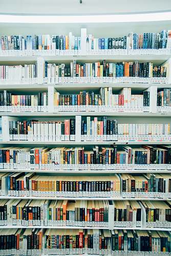 library library interior shelves