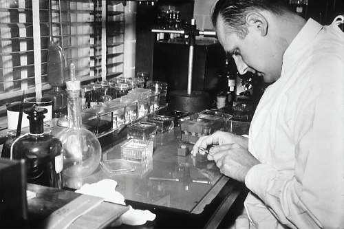 trials  history of cancer