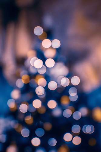 holiday  tree