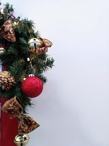 tree assorted-color house decors vase