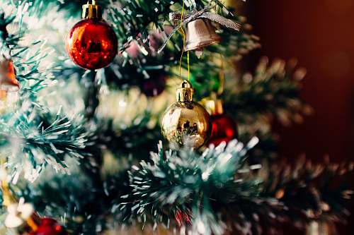 holiday bauble balls hang on christmas tree tree