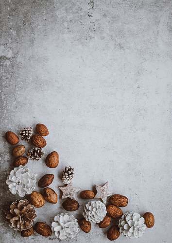 holiday brown nuts and pinecone lot grey