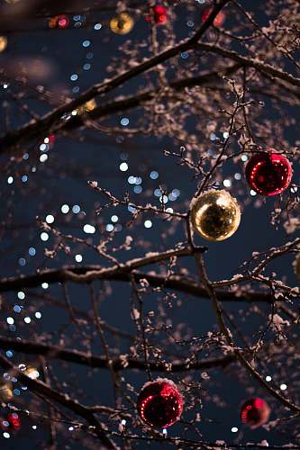 holiday selective focus photography of baubles droplet