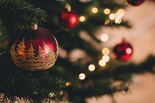 holiday shallow focus photography of red bauble on christmas tree ornament