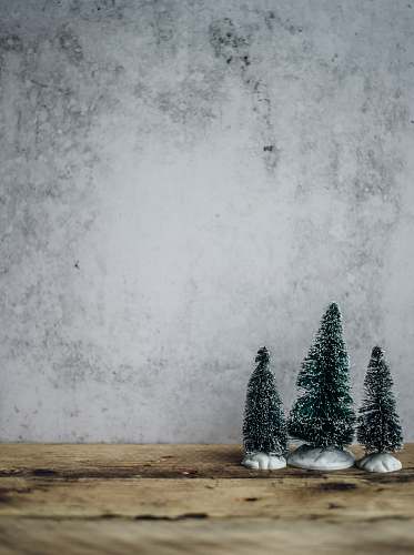holiday three green pine tree miniature near gray concrete wall grey