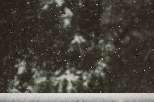 winter white snow flakes snow