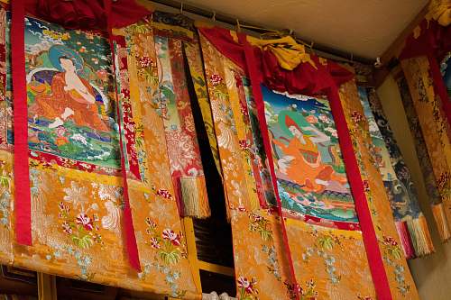 fashion orange floral textile inside room apparel
