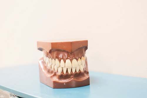 chocolate teeth denture on top of blue shelf dessert