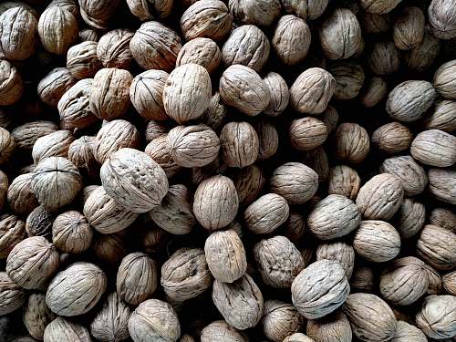nuts bundle of white seeds walnut
