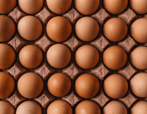 egg native egg lot uzuntarla mahallesi