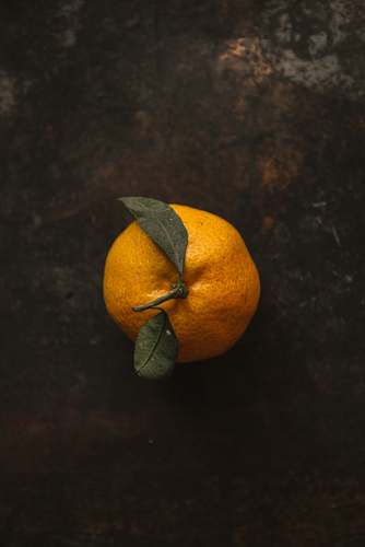 fruit orange fruit plant