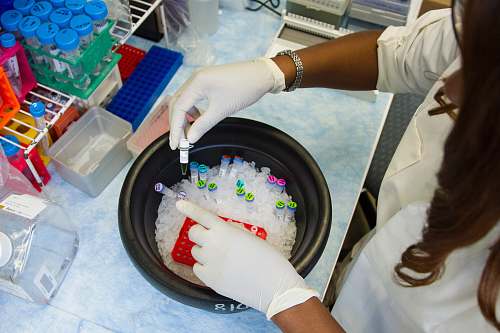 person Laboratory Researcher ice