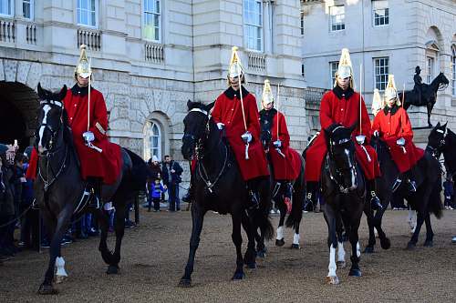 person man wearing red coat riding horses during daytime horse
