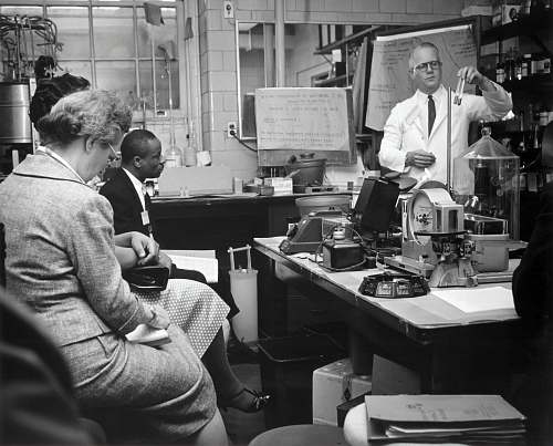 discussion  scientist