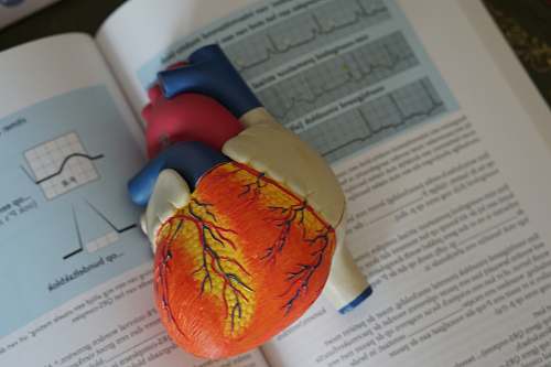 hospital human heart illustration diagnosis