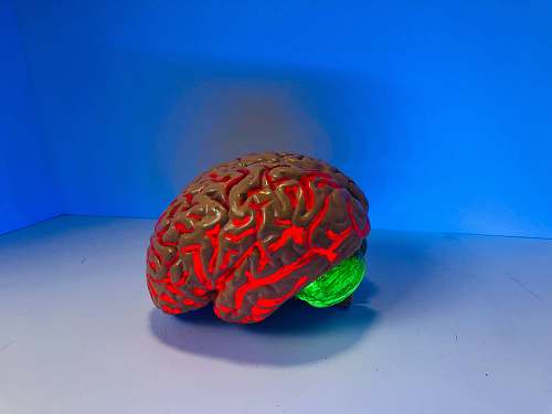 ocean brain figurine water
