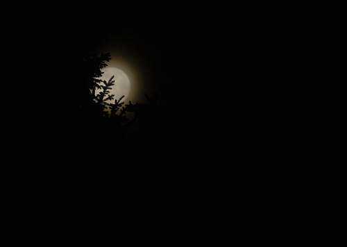 outdoors full moon view at night night