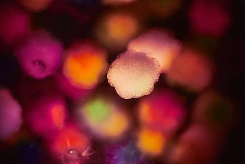 ice pink and orange graphic outdoors