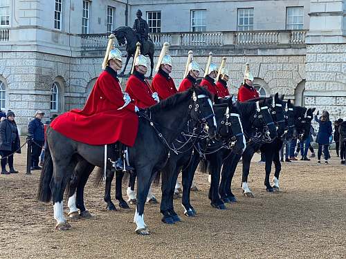 human knights riding on black horse during daytime animal