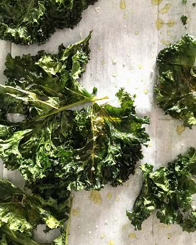 kale green vegetables cabbage