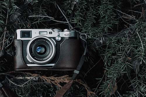 electronics black and gray film camera with black case on green pine tree leaves grey